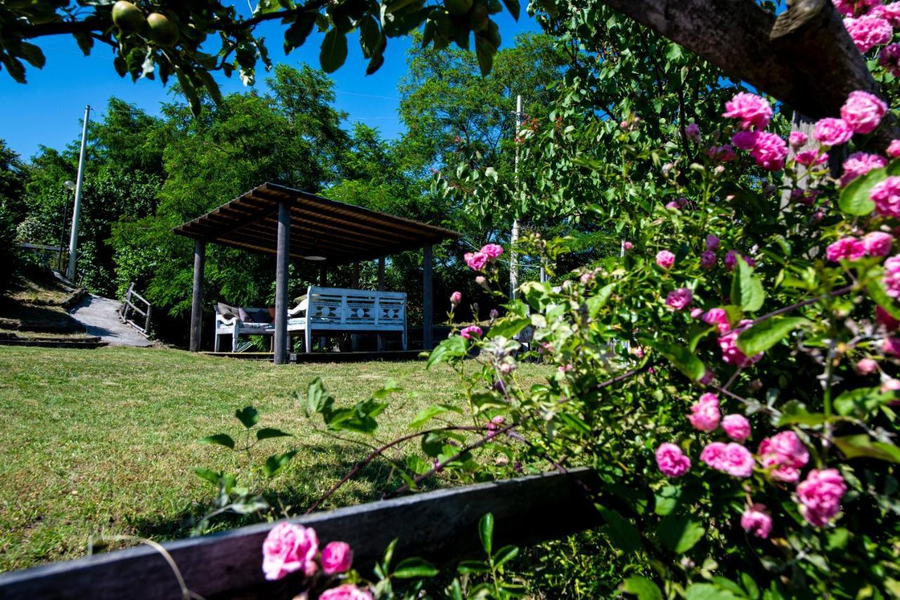 211 - Appartamento Acacia, Terrazza Giardino E Piscina Carro Eksteriør bilde