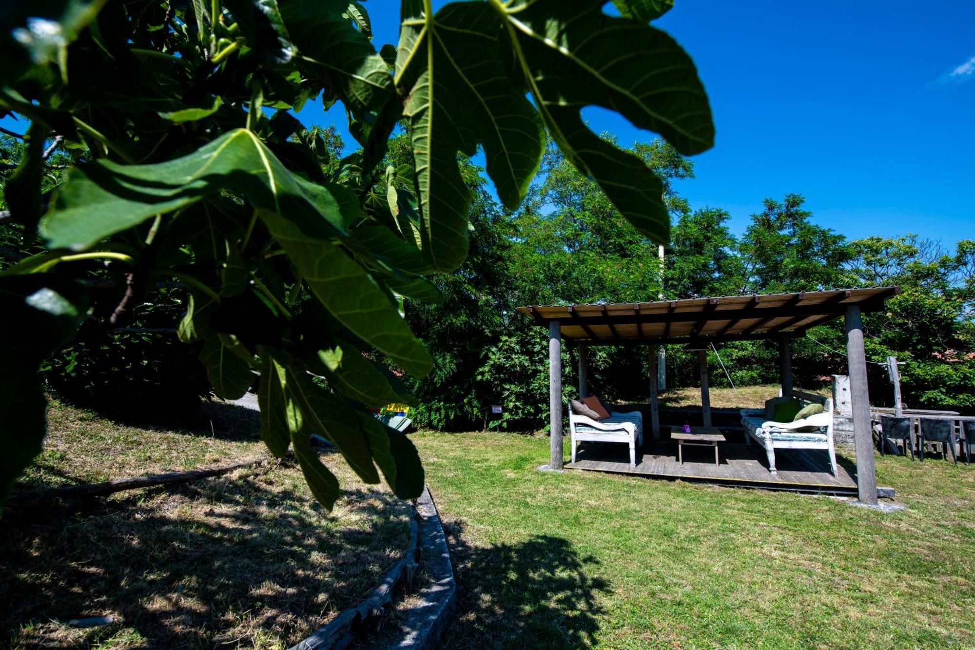 211 - Appartamento Acacia, Terrazza Giardino E Piscina Carro Eksteriør bilde