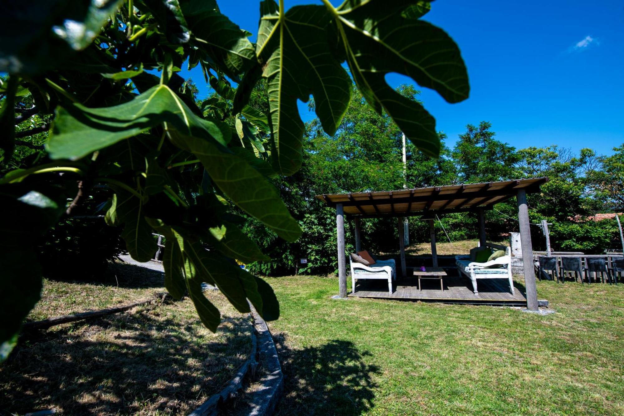 211 - Appartamento Acacia, Terrazza Giardino E Piscina Carro Eksteriør bilde